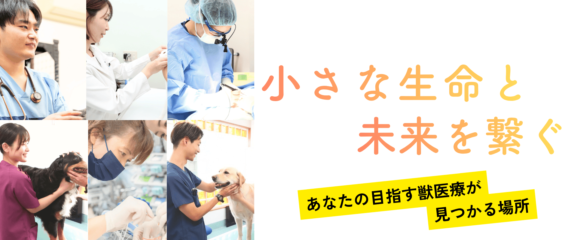 小さな生命と未来を繋ぐ