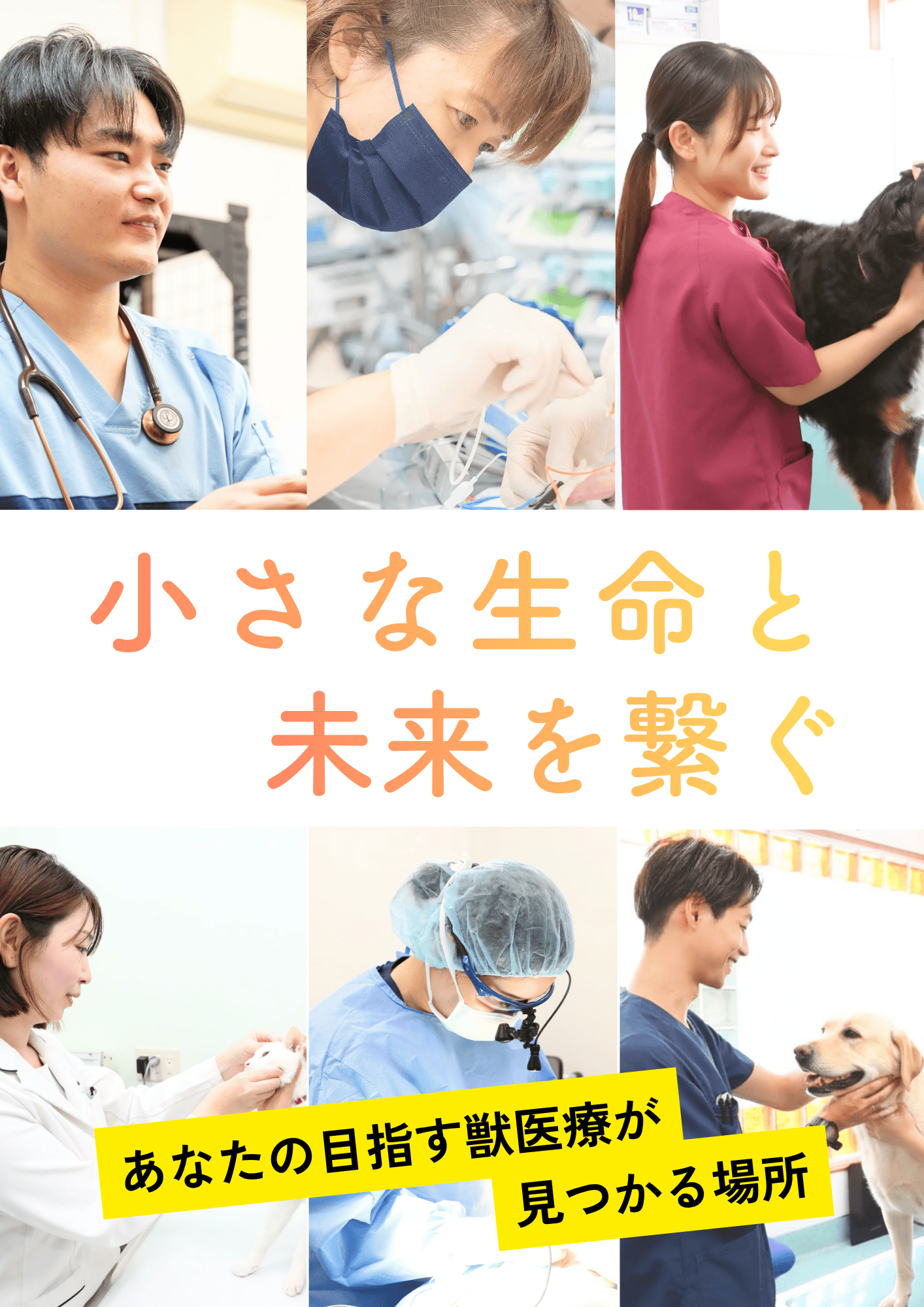 小さな生命と未来を繋ぐ